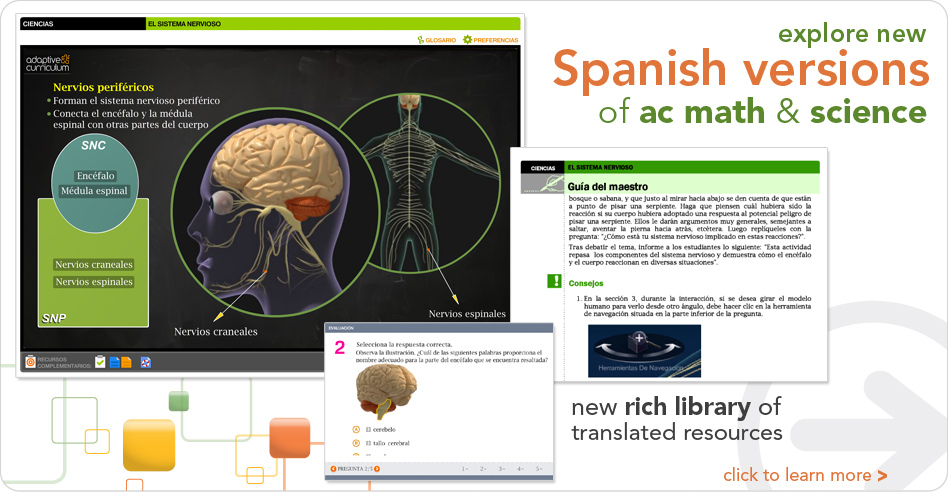 Adaptive Curriculum has a variety of dynamic Activity Objects that are available in both Spanish and English