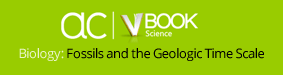 AC VBooks - Biology: Fossils and the Geologic Time Scale