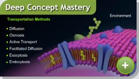 Deep Concept Mastery